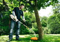 STIHL FSE 60