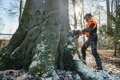 STIHL MS 661 C-M W