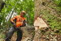 STIHL MS 881