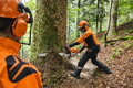 STIHL MS 881