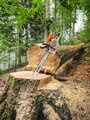 STIHL MS 881