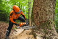 STIHL MS 881