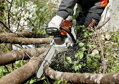 STIHL MS 261